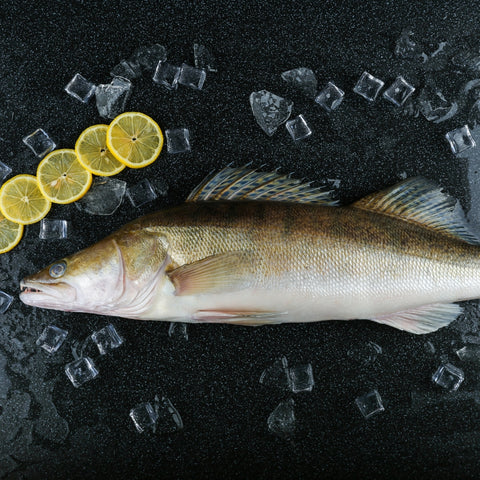Zanderfilet