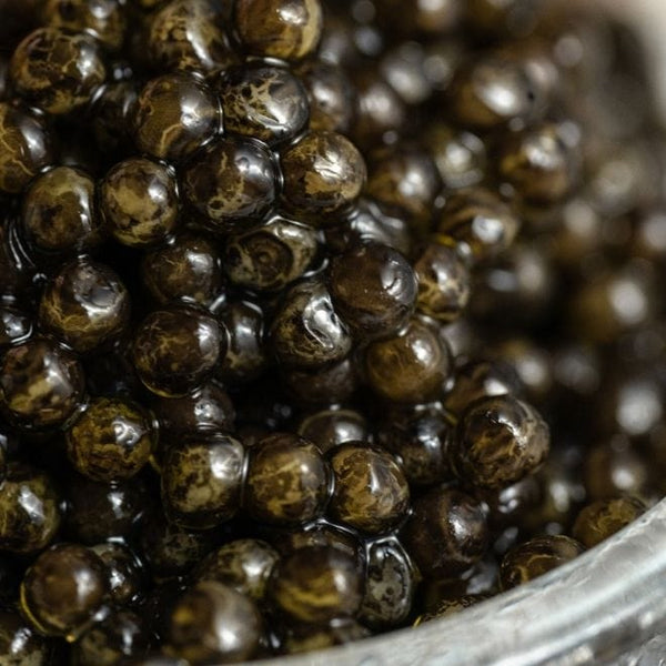 Swedish Wild Schwarzer Kaviar aus nachhaltiger Zucht in Schweden